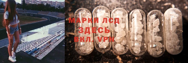 стафф Волгодонск