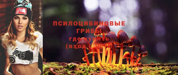 стафф Волгодонск