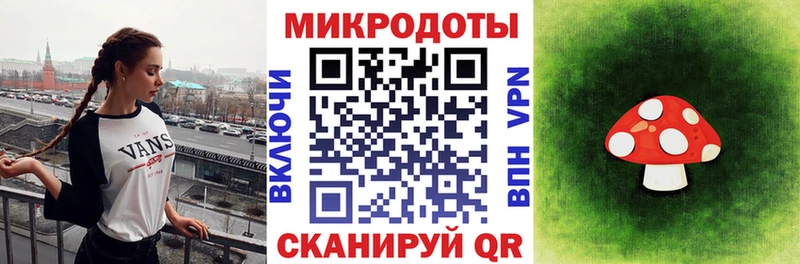 Галлюциногенные грибы Psilocybe  Узловая 