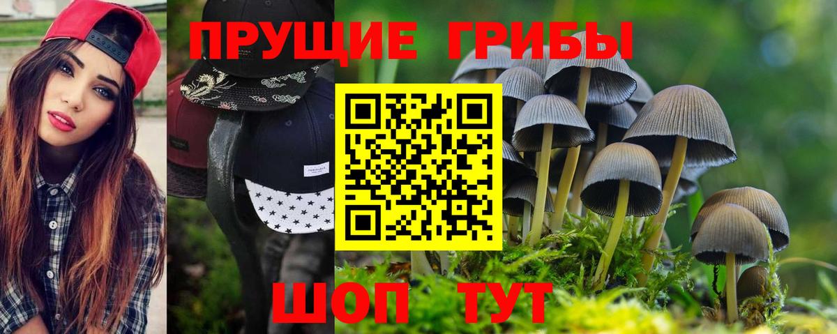 Галлюциногенные грибы мицелий  Вход с VPN  Узловая 