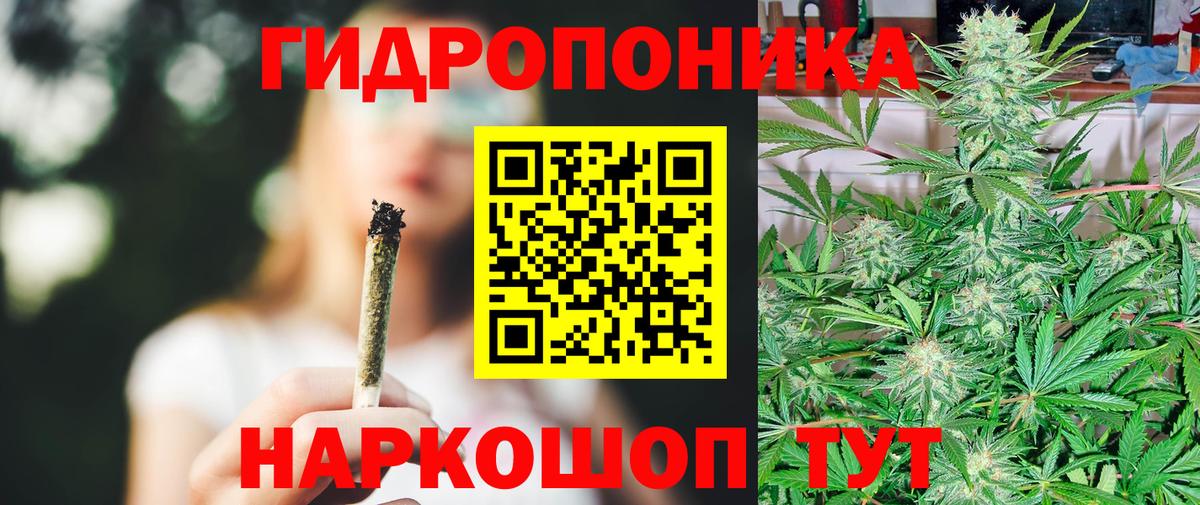 Конопля LSD WEED  Бошки марихуана ГИДРОПОН  Узловая  Каннабис семена  Вход с VPN 